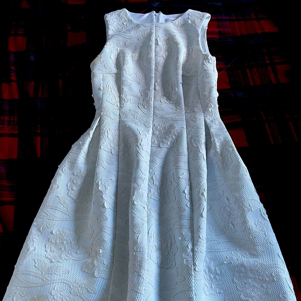 Newly dry cleaned dress strong material suitable for all occasions.